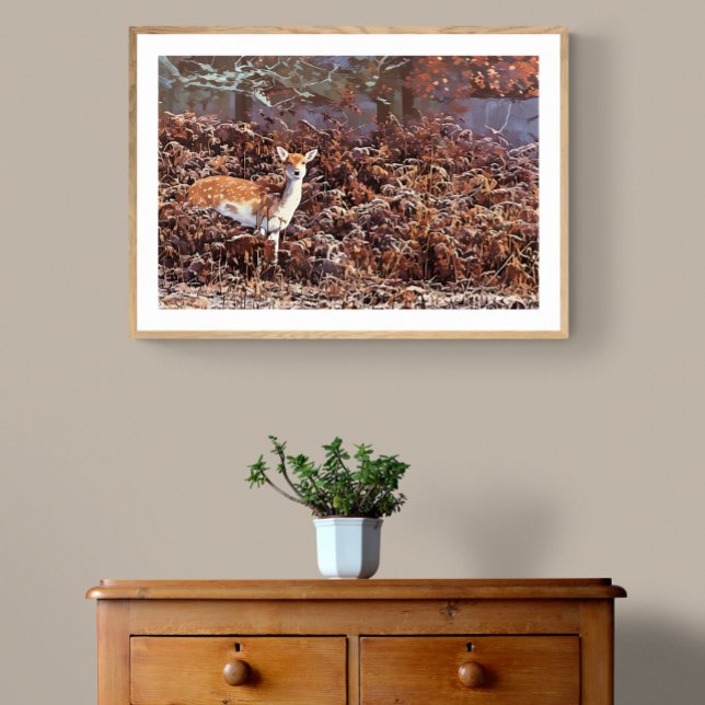 Fallow Hjort i Bradgate Park Fototryck (Skapare uppladdad)