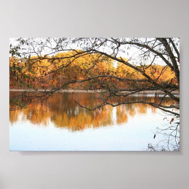 Fallreflektioner Poster (Framsidan)