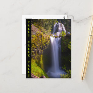 Falls Bäck Falls Gifford Pinchot Vykort