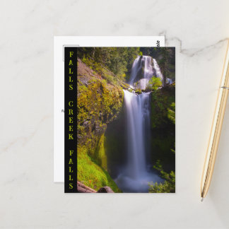 Falls Bäck Falls Gifford Pinchot Vykort