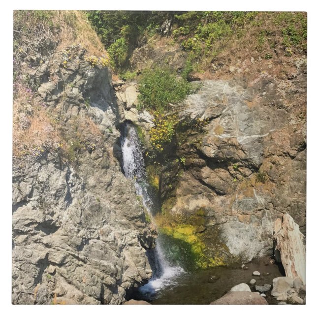 Falls vid Secret Beach, Samuel H. Boardman, OR Kakelplatta (Framsidan)