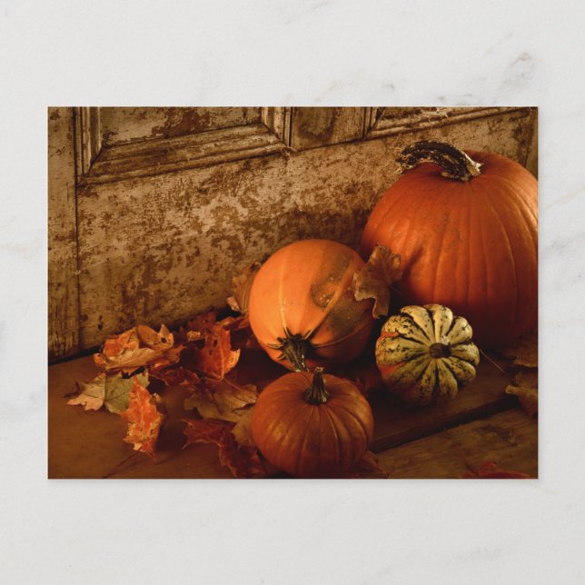 Fallskörd/-pumpor och gourder vid dörren vykort (Framsida)