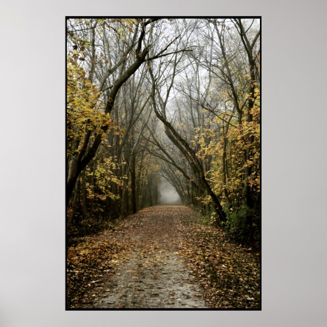 Fallspår i fogen poster (Framsidan)