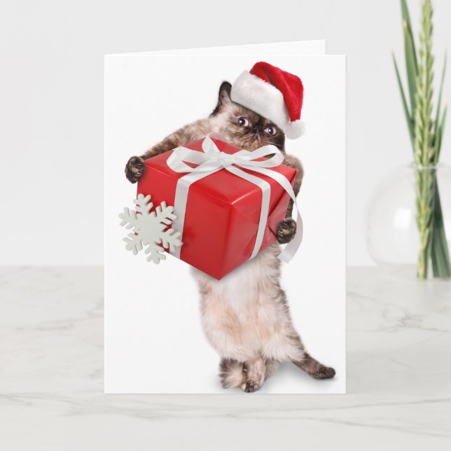 Fällt julkort SANTA CAT MED GIFT Helgkort (Framsida)