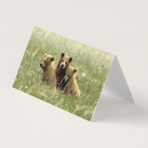 Fällt tomt anteckningskort för grizzly björn & ung kort