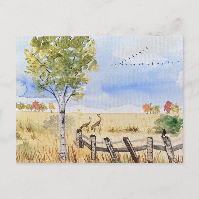 fallvykort vykort (Framsida)