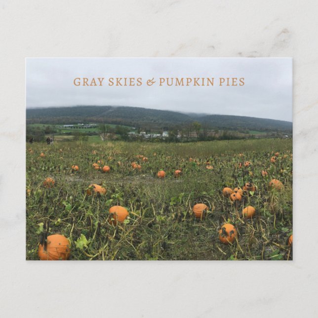 Fallvykort Vykort (Framsida)