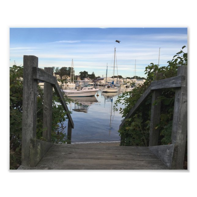 Falmouth Harbor Cape Cod Photo Print Fototryck (Framsidan)