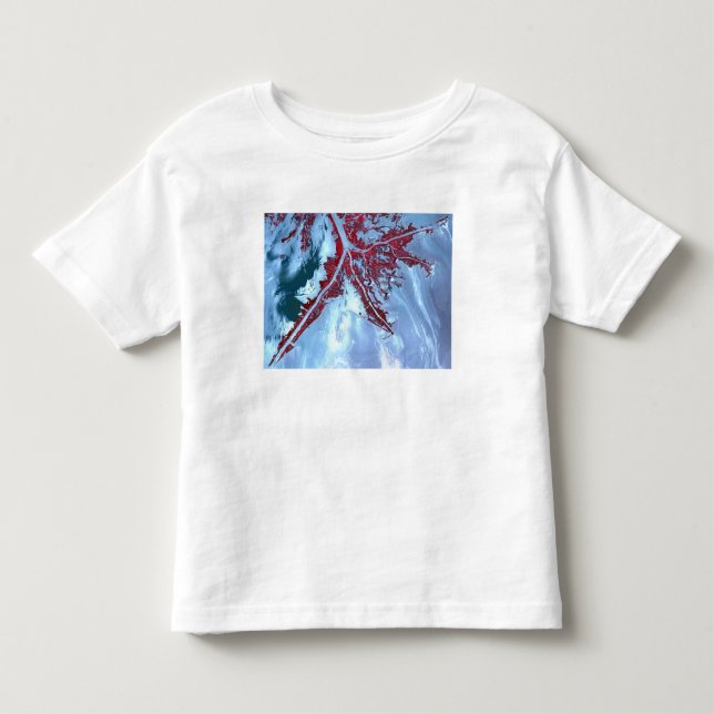 False färg satellit tee (Framsida)