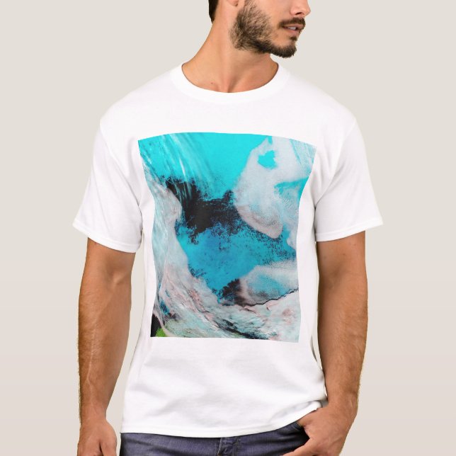 False färg-synen på Polynya (öppna vatten) T-shirt (Framsida)