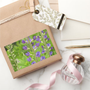 False Indigo (Baptisia australis) Rektangulärt Klistermärke
