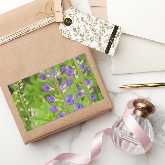 False Indigo (Baptisia australis) Rektangulärt Klistermärke (Gifting)