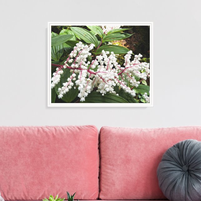 False Solomons Blommigt för sälblommor Canvastryck (Insitu (Vardagsrum))