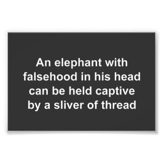 Falsehood inhibits strength of Black America Fototryck