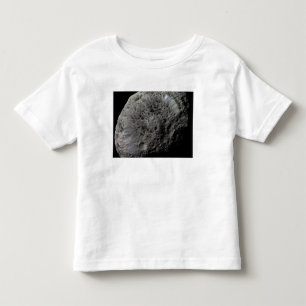 Falsk-färg beskådar av Saturns måne Hyperion T-shirt