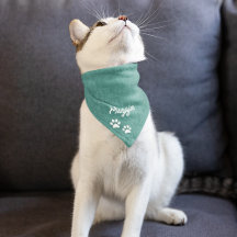 Falska Denim Blå Jean Tassavtryck Teal