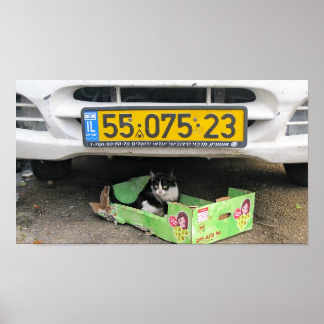 Fält 1 poster (Framsidan)