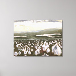 Fält: Arktisk bomull: Kanvastryck Standard