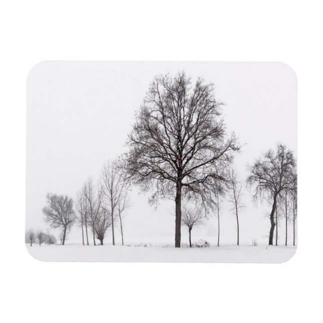 Fält Around Scalenghe | Piemonte, Italien Magnet (Horisontell)