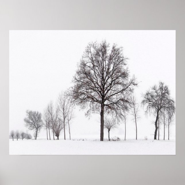 Fält Around Scalenghe | Piemonte, Italien Poster (Framsidan)