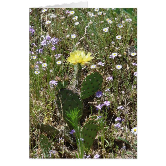 Fält av blommor hälsningskort (Framsidan)
