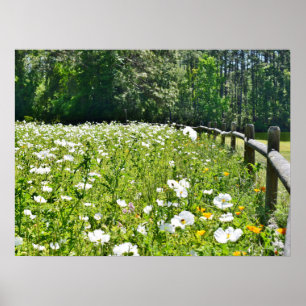 Fält av blommor med stångstaket poster