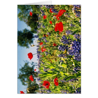 Fält av blommor OBS kort