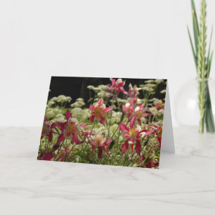 Fält av Columbines Kort