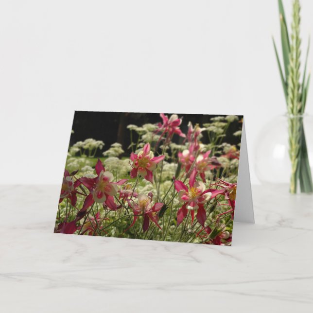 Fält av Columbines Kort (Framsida)
