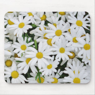Fält av daisy musmatta