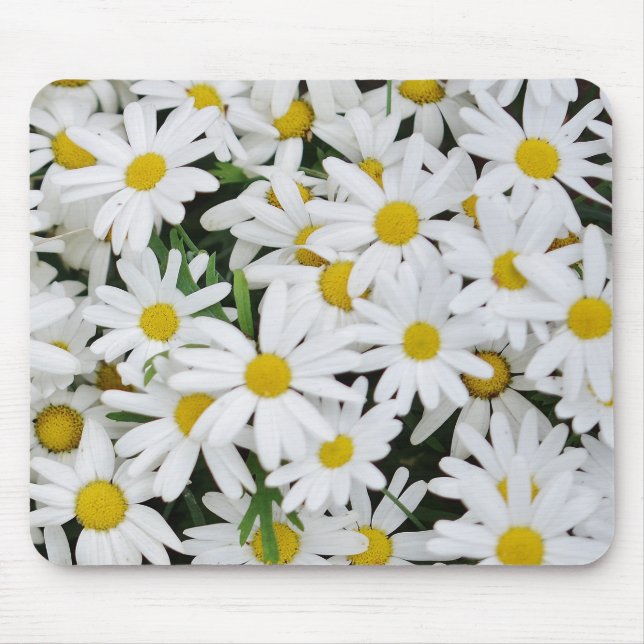 Fält av daisy musmatta (Framsidan)