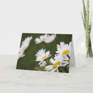 Fält av daisy - som är tänkande av dig kort