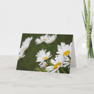 Fält av daisy - som är tänkande av dig kort
