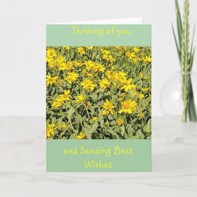 Fält av Daisy TÄNKANDE Kort (Framsida)