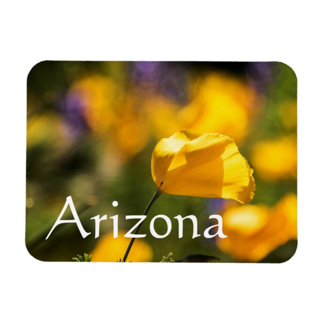 Fält av dansk poppie, Arizona Magnet (Horisontell)