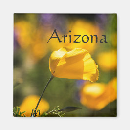 Fält av dansk poppie, Arizona Magnet