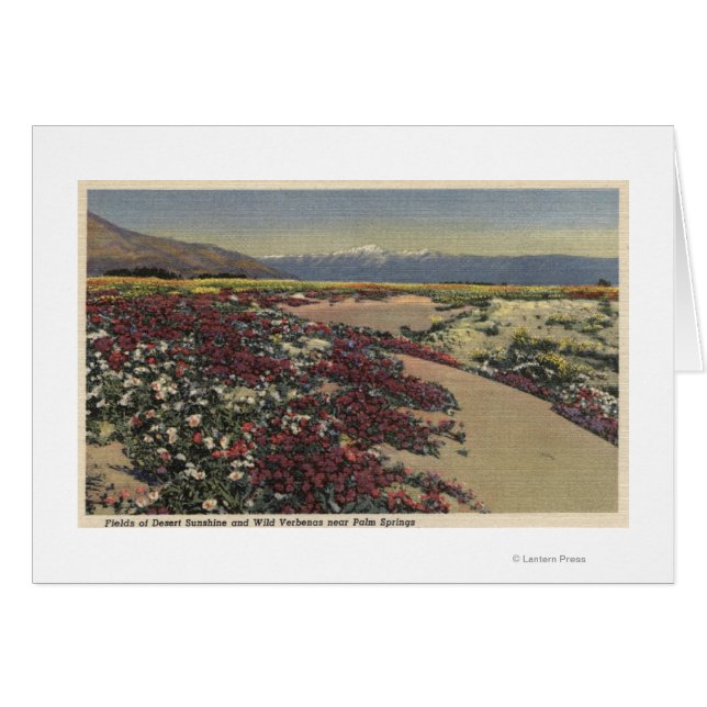 Fält av Desert Sunshine & Vild Verbenas Hälsningskort (Framsidan Horizontal)