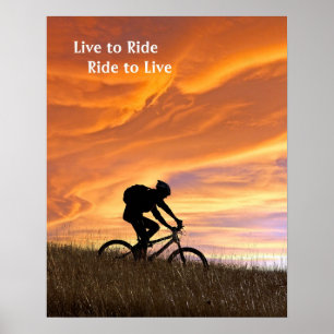 Fält av guld poster