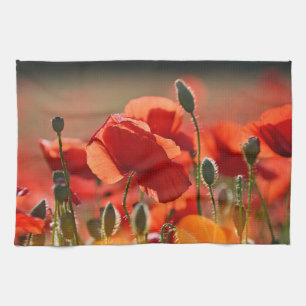 Fält av Poppies. Kökshandduk