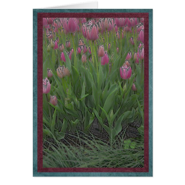 Fält av rosa tulpan hälsningskort (Framsidan)