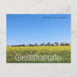 Fält av senapsblommor vykort