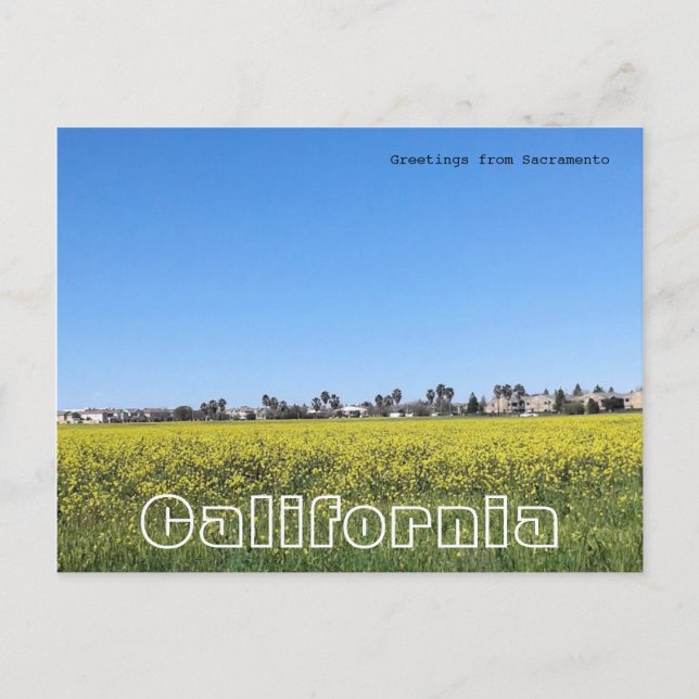 Fält av senapsblommor vykort (Framsida)