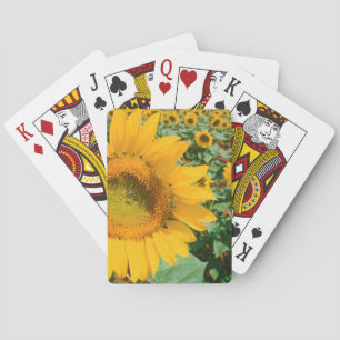 Fält av solblommor. Heidleberg Spel Kort