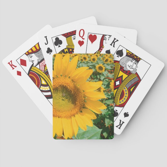 Fält av solblommor. Heidleberg Spel Kort (Baksidan)