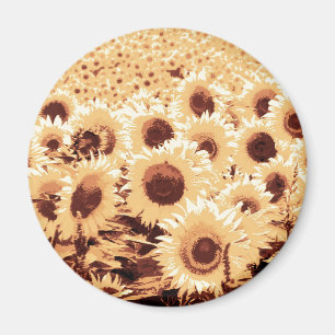 Fält av solblommor - sepiaton, kamel och brun magnet