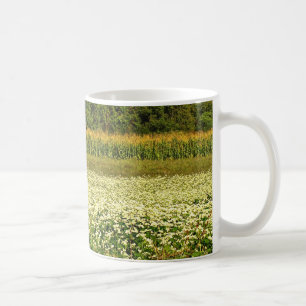 Fält av spannmål kaffemugg