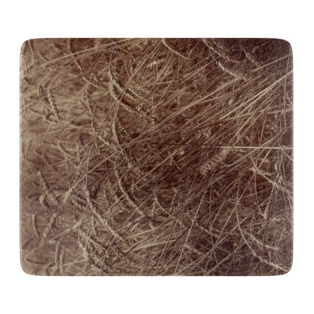 Fält av vete (av Eugène Atget) (Framsidan)