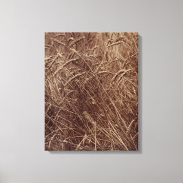 Fält av vete (av Eugène Atget) Canvastryck