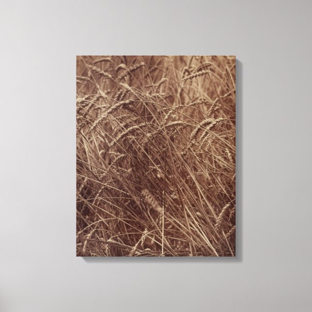 Fält av vete (av Eugène Atget) Canvastryck (Framsida)