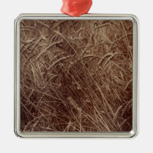 Fält av vete (av Eugène Atget)